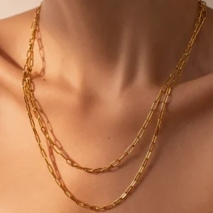 Paperclip double Necklace